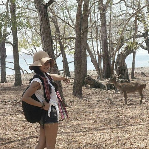 #pesonaIndonesia #saptanusantara
Gisele my belle🎶
Look at my deer~😍
This is the end of Komodo's tracking! 💪
My goodness the view's so instagramable 😍😍😍
Komodo National Park is located in the center of the Indonesian archipelago, between the islands of Sumbawa and Flores. 
The purpose was to conserve the unique Komodo dragon (Varanus komodoensis) and its habitat, and protect its entire biodiversity, both terrestrial and marine. 
In 1986, the Park was declared a World Heritage Site and a Man and Biosphere Reserve by UNESCO, both indications of the Park's biological importance.
#deer #komodo #island #Indonesia #komodonationalpark #Park #tracking #heritage #wonderfulIndonesia #traveling #travel #traveler #tourism #trees #summer #lifestyle #outdoor #ootd #ootdindo #ootdmagazine #ootdshare #shortjeans #hat #tshirt #travelinstyle #clozetteambassador #clozetteID @clozetteID