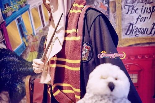 some of the merchandises sold there: Hogwarts House Scarf, Cloak, Badge, Wand (ever thought of teaching using that—if you’re a teacher? 😂) and Hedwig (stuffed animal of course!) you can also have your niffler there. But I guess having niffler is quite troublesome? 🤣🤣🤣.the Official Harry Potter Hong Kong Pop-Up Store, “Museum Context”.