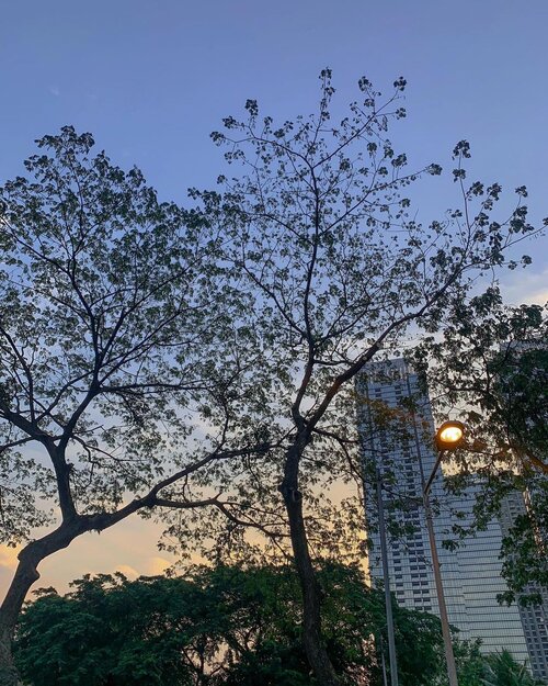 After all we all longs for connecting on a more personal level 💕 The world today is getting so noisy and busy that it seems like there is no pause. You either find your own median and peace or be so caught up in the whirlpool of the noises and uncertainty. Brave it people, better days are coming ahead. ..........#shotoniphone #jakarta #cityscape #explore #sunset #clozetteid #style #throwback #silhouette