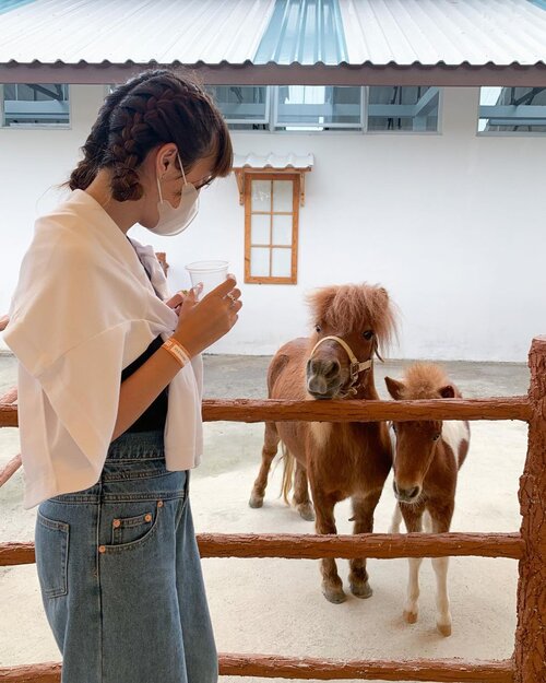 Conversation with the🐴🐴 (who’re eagerly waiting for treats) but sorry I ran out off 🥕😜 ...Missing these farm animals ✨🥺..-📸 @priscaangelina ......#style #exploretocreate #explore #park #zalorastyleedit #steviewears #jakarta #jktgo #clozetteid #love #whatiwore #teepeebarn #braids #tailsfromteepeebarn #teepeebuddies #shotoniphone