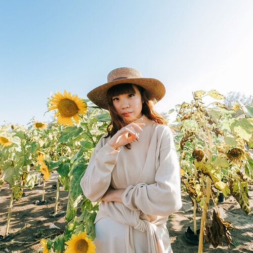 🌻🌻🌻 Face the Sun and let shadows fall behind you.
.
-
📸 @sweet.escape .
.
.
.
.

.
. 
#explorejogja #indonesia #beautiful #holiday #sunflower #style #ootd #whatiwore #exploretocreate #travel #love #clozetteid