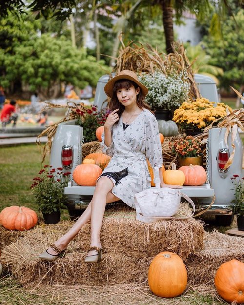 I’m wearing @somethingborrowed_official  drop shoulder wrap fringed dress that I bought from @Zaloraid , By the way don’t miss #ZALORA1111 from 8 -11 November 2019, where there will be discount up to 90% off, many exclusive brand promotion, and no need to worry everything is guarateed 100% original! Go check ZALORA now!.....#zaloraindonesia #zalorastyleedit #style #ootd #steviewears #collabwithstevie #beauty #clozetteid #ootd #whatiwore #exploretocreate #sweetescapejakarta #lifeofadventure #chasinglight  #fashionista #wanderlust #artofvisuals  #travel #Pumpkin