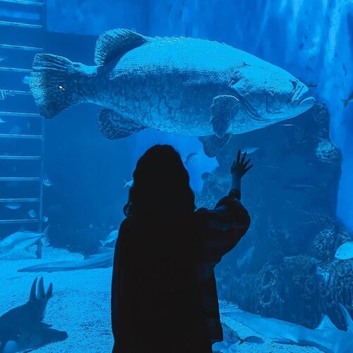 Whimsical moments shared with the gigantic fishes at @jakartaaquarium ❤️ I wonder how are these sea creatures doing right now, hope they’re well taken care off and not neglected even though the Aquarium is closed for the time being // 📸 @priscaangelina ....... ..... #photooftheday #ootd #throwback  #ootdindo #wiwt #steviewears #exploretocreate #clozetteid #ootdstyle #ootdinspiration #love #lookbookindonesia #fashionblogger #style #whatiwore #stylefashion #streetfashion #streetstyle #streetinspiration #shotoniphone