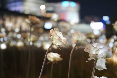 LED flowers!! #ledflowers #ddp #seoulfashionweek #seoul #istellainseoul #서울 #한국 #koreatrip #travelkorea #travelinkorea #explorekorea #spring #봄 #traveling #clozetteid #clozette