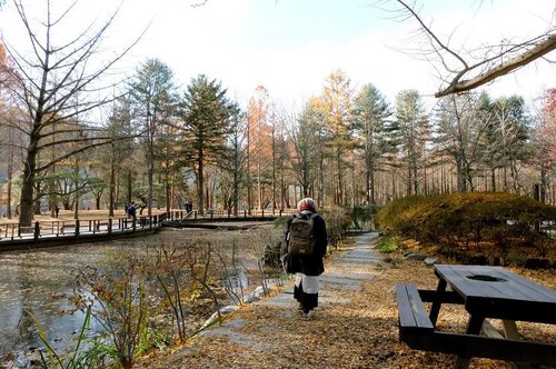 Nami Island (Namiseom) - Salah satu tempat yang wajib dikunjungi saat berada di Korea Selatan . Pulau Nami ini merupakan salah satu tempat syuting Drama Korea Winter Sonata. Romace Drama produksi KBS yang sangat terkenal ini diperankan oleh Bae Young Jun (Joon Sang) dan Choi Ji Woo (Yu-Jin) . Menceritakan tentang cinta pertama yang sulit dilupakan. Pulau Nami Island ini memiliki barisan pohon kastanye dan pohon poplar, pulau ini terlihat begitu indah.. Dengan tiket masuk sebesar :₩ 8.000 (April-Desember)₩ 6.000 (Jan-Mar)₩ 23.000 (Tiket Shuttle Bus + Tiket masuk)Sudah bisa menikmati keindahan pulau Nami.. Akses untuk menuju pulau ini :Shuttle Bus : Nami Island Bus Stop Tapgol Park. Dicapai dengan subway Line 3, Jungno-3 ga station, Exit 1 atau line 3, Angguk station, exit 6 ; atauSubway : Gyeongchun line menuju gapyeong station, lalu dilanjutkan dengan berjalan kaki, naik bus atau taksi ke Dermaga Nami Island.Info lengkap bisa cek website resmi www.namisum.com #AkudanKorea #clozetteid