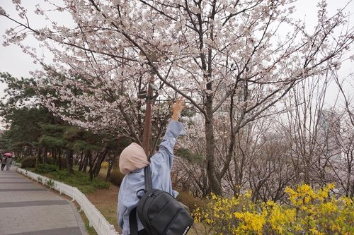 🌸🌈 Welcome spring 📸 @eliansy  #necgoestokorea #clozetteid