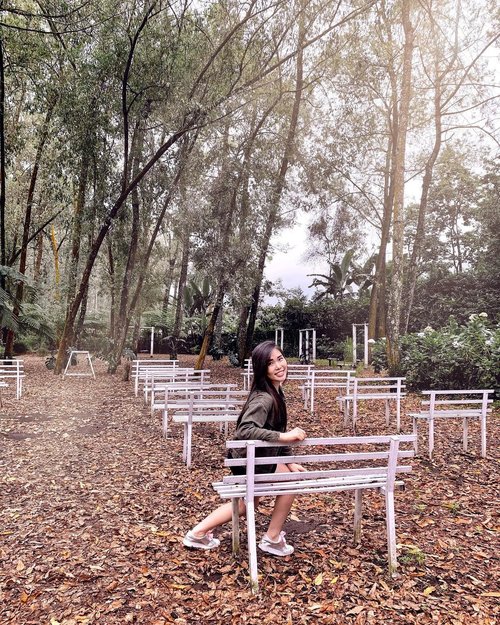 Lost in the woods 🍂.

📍: Coban Talun, Batu, East Java.

Perfectly captured by Ce @mgirl83 🤗✨.

#shortescape #visitindonesia #naturelover #ClozetteID