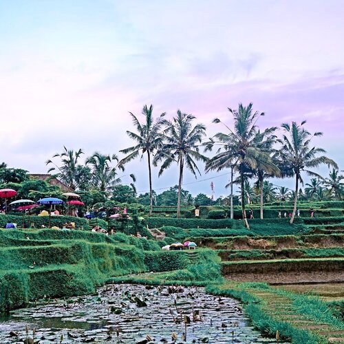 Stop searching for happiness. It’s not coming from outside, it’s from the inside. Find the inner peace first, and you’ll find happiness anywhere.
-
Then how to find inner peace ? Read my recent uploaded story 😊.
-
-
📍 : Ubud, Bali
#positivethought #innerpeace #view #travel #ClozetteID