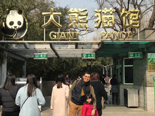 Ke Beijing kali ini harus negosiasi utk ngga ke tempat2 yg membosankan buat anak-anak, pengennya hr ini ke Forbidden City & Tiannanmen Square (lagi) tapi akhirnya ngalah ubah haluan ke Beijing zoo karena ada yg pengen liat panda. 🐼♥️🐼 Nyoba naik subway ke sini dr hotel ternyata gampang bgt & ada khusus stasiun Beijing zoo 🚇 ⁣
Seneng jg ke sini, karena dulu ngga sempet. Selain itu kita jg sempet ke Beijing Aquarium yg ada dalam Beijing zoo 🐬🐳🐋🦈⁣
⁣
Doakan semoga ngga males update di blog utk cerita pengalaman di kedua tempat di Beijing ini  yak 😅⁣
⁣
#Beijingzoo #whileinBeijing #panda #giantpanda #familytrip #travelwithkids #citizenoftheworld #instatravel #instaplace #instavenue #instabeijing #familylife #traveling #travelbeijing #beijingwithkids #clozetteid #beijingpandazoo #kidstraveller #familytravels