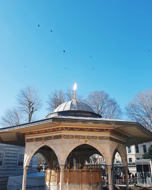 Birds flying around a dome 🕊
.
.
.
.
#vsco #vscocam #vscoedit #vscofilter #vscogrid #vscodaily #clozetteid #vscogood #vscotravel #vscobest #vscogram #instadaily #istanbul #turkey #turkiye #instagood #instagram #travel #travelphotography #hagiasophia #ayasofya #🇹🇷 #mosque