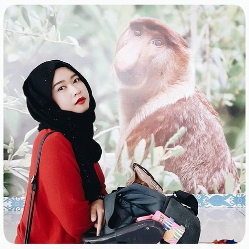 Posing with bekantan be like.. 😂#sepingganairport #kalimantantimur #redlips #hijab #ClozetteID