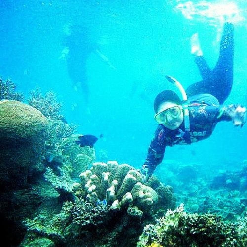 Hanya ada keindahan dalam relung lautan... wonderful experience!! #clozette #clozetteid #instatravel #instamag #instagram #instapic #adventure #travelling #traveller #trip #karimunjawa #karimun #snorkling #underwater #wonderful