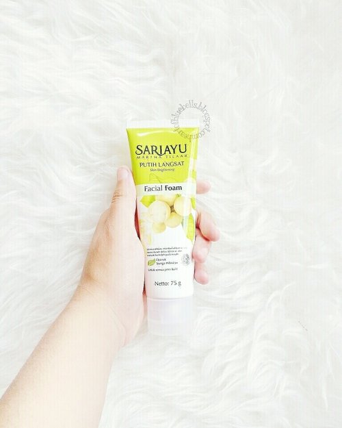 My new fave cleanser 😍. It's local & cheap! You can read my newest review http://heartofbluebells.blogspot.co.id/2017/02/review-sariayu-putih-langsat-facial-foam.html?m=1 for the detail 😉 #clozetteid #sariayu #putihlangsat #facialfoam