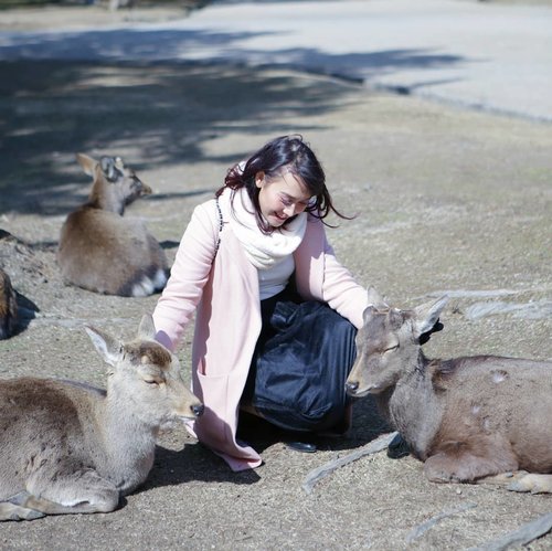 Oh, hello deer!
Im trying to channel the Disney Princess in me. LOL 😛

#ClozetteID #traveling #narapark #Japan