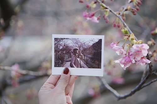 Mōichido aimashō, sakura! 🌸🌸🌸 #ClozetteID #Traveling #Kawazu #Japan #Sakura #handsinframe
