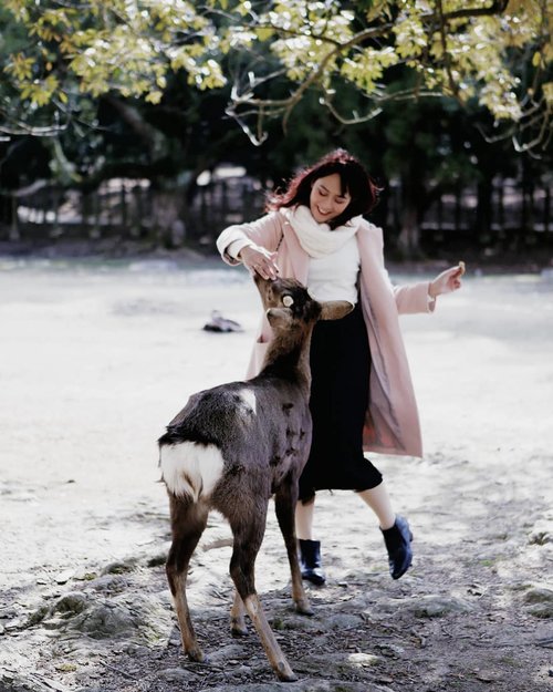 Dancing with bambi 🦌#ClozetteID #NaraPark #Japan