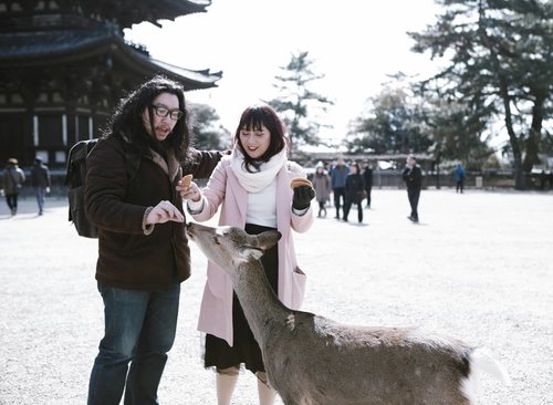 Feeding bambi 💕#HuboyWaifuTravelJournal #HuboyWaifuJalanJalanJapan#NaraPark #Japan #ClozetteID
