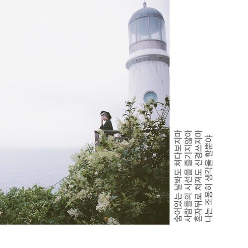 혁오 - Panda Bear...#clozetteid#ladyuliatriptokorea#dongbaekisland#ggrep#lighthousePict: @mei038