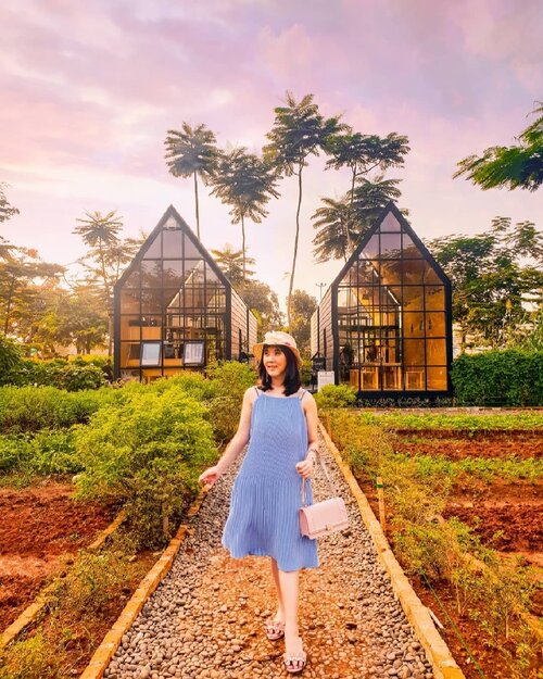 Changing my mind from posting endorsement photo into this picture. Taken by @samsung_id when the air has not been polluted with COVID-19.The sky was painted. Tap my story for the original photo..#sisytravelingdiary ........#ootd #photooftheday #beautifuldestinations #kodakfilter #gardensbythebay #iphoneonly #travelinladies #tutorialedit #photoedit #like4like  #untiltomorrow #kodak  #clozetteid #floralfantasy #arumdalu #travelsingapore #thewanderingtourist #travel #arumdalufarm #sunflower #kodak #tapfordetails