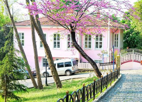 The super pretty Pink House in Istanbul. I hope someday I can have this kina house for spring ♡
.

Check out myculinarydiarycom.wordpress.com for more awesome post! Link is on my bio and my Zomato/Jessica Sisy or Pergikuliner/Jessica Sisy for more food reviews
#sisytravelingdiary #istanbul #tulip #clozetteid .
.
.
.
.
.
#chesnut #cashew #nuts #roastednuts #wisata #travel #igtravel #travelgram #buzzfeed #photography #holiday #turkey #turkiye #cappadocia #kapadokya #desert #dubai #photography #photooftheday #foodoftheday #cakedecorating #photoshoot #fujifilm #pinkhouse #pink