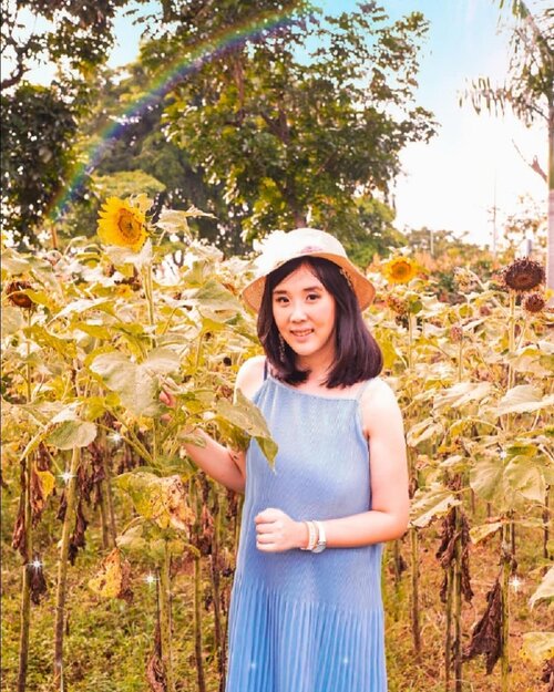 Stay safe and healthy!
Hopefully, this bad condition will be gone like a mist. Feeling anxious if I go to crowded place for now.
Anyway, sunflower garden is also available in Changi Terminal 2 if you don't
.
.
#sisytravelingdiary .
.
.
.
.
.
.
.
#ootd #photooftheday #beautifuldestinations #kodakfilter #gardensbythebay #iphoneonly #travelinladies #tutorialedit #photoedit #like4like  #tiktokchallenge #kodak  #clozetteid #floralfantasy #arumdalu #travelsingapore #thewanderingtourist #travel #arumdalufarm #sunflower #kodak #camera