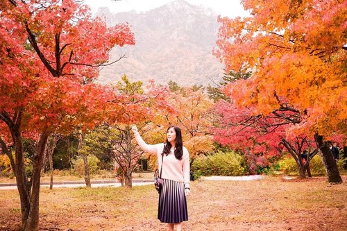 Beautiful in autumn at Mt. Sorak. Lil bit cold but, ut's fine and you will amazed by the amazing view of maple leaves ❤❤
.
.
.
.
.
.
.
.
.
.
.
.
#ootd #photooftheday #beautifuldestinations #bali #seoul #france #paris #ootdspot #jktspot #like4like #nstagramable #maple #switzerland  #postthepeople #travel  #clozetteid  #autumn #beauty #mountsorak #makeup #selfie #japanese #travel #endorse #korea  #korra
