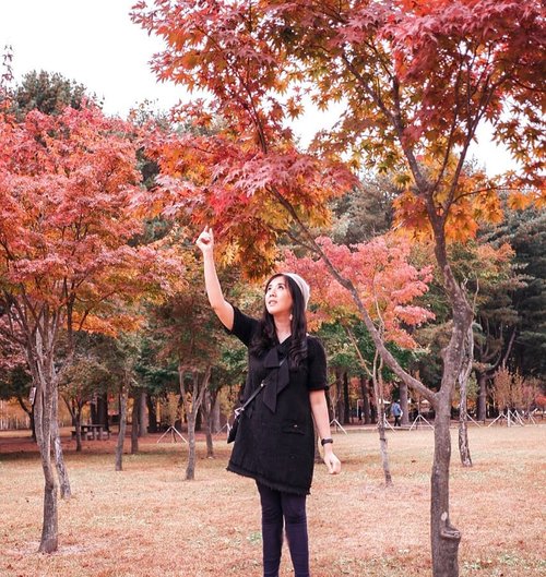 Time to share my photo at Nami Island ❤
Spent almost 3.5 hours there to take pictures and enjoy the view.
A must visit place when autumn in Korea.
.
.
.
.
.
.
.
.
.
.
.
.
.
#ootd #photooftheday #beautifuldestinations #bali #seoul #france #paris #ootdspot #jktspot #like4like #nstagramable #maple #switzerland  #postthepeople #travel  #clozetteid  #autumn #namiisland #mountsorak #makeup #selfie #japanese #travel #endorse #korea