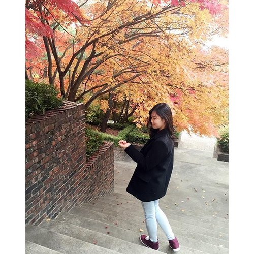 🍁Today, know that it feel good to stand on your own two feet. You're capable of many great things! •
•
•
•
•
•
#photograph #autumn #fall #igers #instapic #instagood #instalike #enjoy #korea #webstyle #webstagram #play #style #like4like #likeforlike #tagsforlikes #blessed #bestoftheday #schoollife #fashion #clozetteID #cotd #koreanfashion #casual