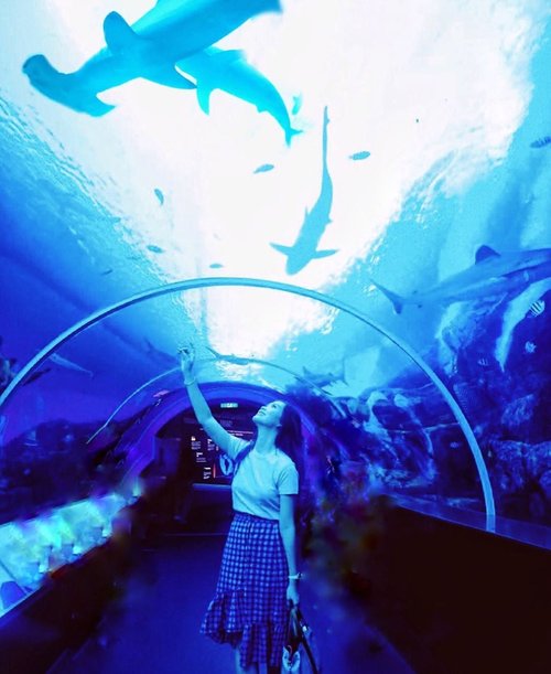 Part of your world 🧜🏻‍♀️ Not underwater but more like under water, getting overwhelmed By this giant shark🦈@rwsentosa Good Morning 🙆🏻‍♀️ #AbellinSG #singapore #clozetteid #cotd