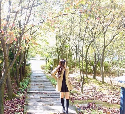 It was sunny day, ☀️ slightly sun light touch skin warmly,then wind blowing 🌬 at the same time leaves one by one fall apart🍂
Step by step 👣
We doesn't know end of this journey or place were we belongs to, but keep a faith and walking🎋 cause nothing good came easy right 😌 have a great Sunday~

#igers #instagood #instamood #instadaily #instalike #jj #ootd #bestoftheday #clozetteID #tflers #webstagram #tagsforlikes #photo