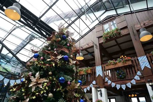 Christmas decoration at Bavarian Haus, Puncak. ;)
#ClozetteID
#StarClozetter