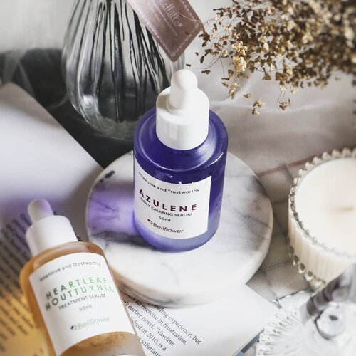 💦 @bellflower_global Azulene Daily Calming Serum*.INGREDIENTS ANALYSIS ✨ Terdiri dari gabungan bahan yang bikin iritasi dan noniritasi ekstrak tumbuhan. Misal, grapefruit extract, lavender extract, dan thyme extract. Sementara noniritasi contohnya licorice root extract.✨ Saya agak kaget karena katanya ini bisa tahan 12 M, sementara rasanya saya enggak melihat ada bahan pengawet di sini. Bisa juga karena saya melewatkan, enggak selalu saya hapal nama bahan pengawet.✨ Terdapat rh-Oligopeptide 1 yang bagus untuk antiaging .✨ Terdapat guaiazulene yang berasal dari chamomile yang diekstrak. Saya sudah pernah memakai guaiazulene dari brand lain, dan perlu saya akui, memang jempolan dalam mengatasi kemerahan dan iritasi, bikin kulit jadi kalem. Inilah yang bikin produk jadi berwarna biru.ABOUT THIS PRODUCT.✨ Serum ini memiliki tekstur cair. Wanginya herbal, campuran berbagai tanaman, namun tidak kentara, jadi sama sekali tidak mengganggu .✨ Botol kaca yang tebal meyakinkan saya bahwa produk ini dibuat secara berkualitas dan higienis! Cara pemakaiannya juga pakai pipet, jadi memudahkan buat pemalas macam saya, huehehe.✨ Kalau kulitmu lagi bermasalah, misal jerawatan atau skin barrier rusak, cobalah beralih ke produk mengandung guaiazulene. Bener, bagus banget. Namun perlu diperhatikan, siapa tahu ada bahan lain di Bellflower Azulene yang enggak cocok sama kulitmu .✨ Dengan ukuran 50ml, rasanya lama banget ya habisnya 🤔. Sebuah peer buat saya, mengingat saya enggak selalu mengalami iritasi. Jadi saya lebih menyarankan produk ini dipakai sama kamu yang rentan acne prone namun tidak alergi dengan plant extract.RATING3.5/5.WHERE TO BUYAs usual, belilah di bos elpiji @keranjangmica kalau mau dapat harga terjangkau dan original 🤭.*Gifted for review purpose by Bellflower#skincareregime #skincareblogger #skincareaddict #skincarejunkie #bellflower #redness #pimples #acneprone #acnetreatment #irritationskin #idskincarecommunity #clozetteid