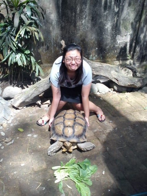 Senangnya bisa berkunjung ke Bali, sambil main dengan kura-kura. Mau coba angkat tapi ga kuat karena berat banget. Suhu di Bali memang panas, tapi tidak melunturkan semangat buat travelling sambil bermandi cahaya matahari karena aku percaya perlindunganku sama Nivea. Terima kasih Nivea <3  XOXO #ClozetteID #NiveaConfideo