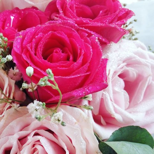 Roses.

Kata @viniamanda, sesuka - sukanya cewek sama makanan atau kosmetik, dikasi bunga juga mau (dan meleleh) kok.

Bener girls? Aku pun. 😂

#vinaphotos