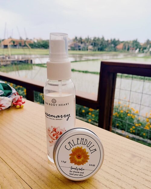 Hero ketika alergi.

Siapa yg belum baca tentang @thebodyheart Calendula Family Salve? Link di bio ya sis. ❤️ #vinasaysbeauty #vsbxthebodyheart #thebodyheart
.
.
.
#skinroutine #clozetteid #skincarenatural #skincare #artisanskincare #artisanproducts #toner #facetoner #facialtoner #fotd #faceoftheday #calendulasalve #nature #naturescene #naturalskincare #naturalingredients #skincarebali #bali #cafeincanggu #cafeinbali #vegan #vegancafe #vegancafeinbali #ricefields #sunset