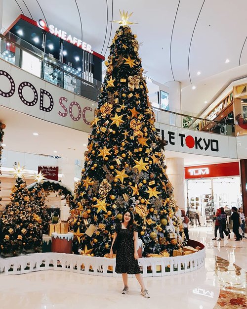 it's almost that time of the year ✨.#potd #christmastree #clozetteid