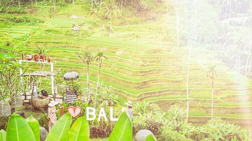 Meet me in Bali 🌾🌾🌾
I miss trekking in Tegalalang Rice Terrace Ubud 👟 Tiring but so worth it 😆 Sejuk sejuk gimana gituh...
When will we go again buddy @anisa_prmst 😇 .
#dewitraveldiary #bali #ubud #travel #travels #clozetteid