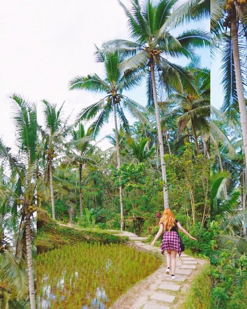 I'm a slow walker, but I never walk back ☀
.
📷 by @anisa_prmst 😍 I swear she's a candid expert
.
#ubud #bali #green #view #travel #travels #nature #instagood #instapic #potd #photography #clozetteid