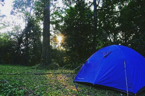 come stay here with me tonight. we can talk about random shits whilst star gazing and sipping a cup of coffee. i will make you a bowl of indomie for our dinner. then you can sing me a lullaby till i fall asleep. 
#clozetteid #situgunung #pendaki #camping #hiking #mount #tent