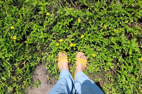 Little yellow flowers
In my memory will remain 🌼🌼🌼💕
.
.
.
#yellowpoems #sotd #yellowflowers #pantaipasirjambak #sunshine #summervibes #beachdays #clozetteid #holiday #travel #lifestyle