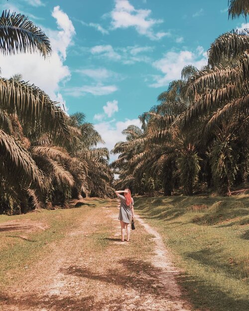 Trying to blend with nature. Tp yg di pikiran cuman 2: panas dan takut item😅😅.Not sure if I'm digging this type of edits, but here it is😊 I'm using only VSCO X (just because I can't use Lightroom yet) Swipe to see the vsco code❤️.📷: @yohanes_gerdisen..#potd #potdindo #vscocam #vsco #vscophile #vscogrid #vscox #peoplescreatives #igdaily #instadaily #instastyle #fashionblogger #photooftheday #justgoshoot #vscogood #clozetteid #snapseeddaily #snapseed #exploretocreate #vscodaily #cchannelid #deedeeyoung #nature #edits #vscoedit