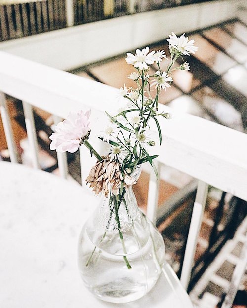-
A flower doesn't love you or hate you, it just exists - Mike White
-
#flowers #clozetteid #clozetters #shophausmenteng #mockingbird #cafejakarta #cafe #instamood #kinfolk