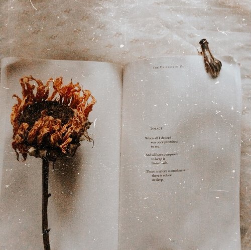 Solace from the universe of us.........#clozetteid #bookphotography #bookish #bookstagram #booktography #nature #aesthetic #photography #bloggerperempuan #flowers #bookworm #instareads #bibliophile #bookstagrammer #instabooks #bookslovers #reading #ilovereading #langleav