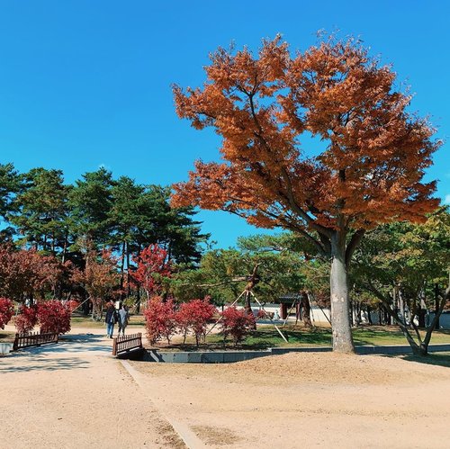 Alasan traveling ke Korea kali ini adalah mau ngerasain musim gugur di sini. Paling suka emang musim gugur sih, karena udaranya adem disertai pemandangan cantik dengan warna-warni merah, kuning, dan oren.⁣
⁣
Selain itu udah kangen Korea karena terakhir ke sini tahun 2017. Btw slide ke-4 akan membuat kalian terkejut!⁣ 🤪
⁣
#travel #travelgram #traveler #instatravel #chikatravelstories #chikastufftrip #clozetteID #seoul #autumn #fall #autumntrip #korea #iPhoneXS