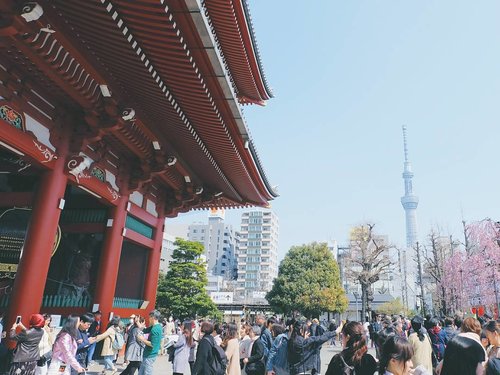 Sensoji Temple and Tokyo Sky Tree; 2 must-visit spot when you're in Asakusa, Tokyo 😍 But brace yourself, Sensoji is superrrr crowded 😱
.
.
.
#clozetteid #japan #tokyo #asakusa #sensoji #tokyoskytree #japantravel #theglobewanderer #exploretheglobe #exploretokyo #travelblog #travelbloggers #lifestyleblogger #abmtravelbug #ggrep #japanloverme #東京 #旅行 #여행 #일본여행 #도쿄여행 #여행스타그램