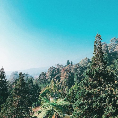 You need this kind of view every once in a while 💙
.
.
.
#clozetteid #puncak #puncakbogor #puncakpass #traveler #travelblogger #view #idntravel #traveler #exploreindonesia #travelerindonesia #travelblog #wanderlust #abmtravelbug #ggrep #여행 #여행스타그램 #여행에미치다 #旅行