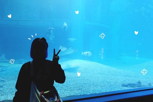I have extraordinary love for aquarium ❤ I love sea creatures but too scared to be near them so yeah, aquarium it is 😛 Anyway, you can read my blogpost about Osaka Aquarium Kaiyukan on #bigdreamerblog #BigDreamerInJapan 🐠...#clozetteid #travelblogger #fashionblogger #lifestyleblogger #osakaaquariumkaiyukan #osaka #japan #japanloverme #ggrep #exploringtheglobe #theglobewanderer #wanderlust #aquarium #여행 #여행그램 #여행스타그램 #파워블로거 #旅行 #旅日記 #大坂