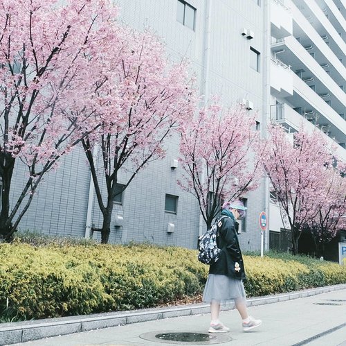 Because no one could make my dreams come true but me. New post is up on #bigdreamerblog 👌...#clozetteid #japan #tokyo #sakura #cherryblossoms #meguro #fashionbloggers #fbloggers #bbloggers #lifestylebloggers #travelblog #abmtravelbug #japanloverme #ggrep