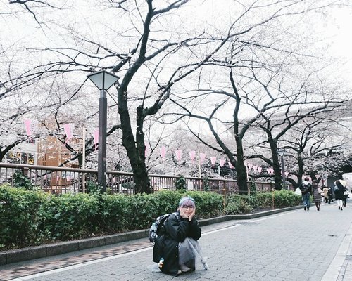 Glad that I decided to go to Meguro River this morning! And didn't leave my tripod at home 🌸🌸🌸💕💕💕
.
.
.
#clozetteid #meguroriver #cherryblossoms #japanloverme #ggrep #tokyo #japan #sakura