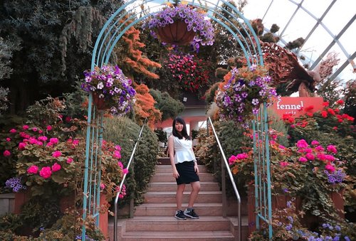 Happiness blooms from within 🌸🌺🌼Let's find amazing place to explore.. ☺️
.
📸 @venny_firstyani
.
.
.
.
#exploreSingapore #girlpowertravel #TravelWithSGB #picoftheday #explorechangi #sunflower #VisitSingapore
